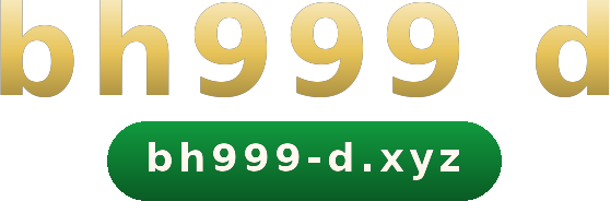 bh999 d logo